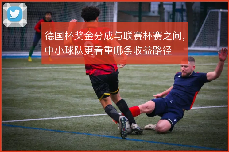 德国杯奖金分成与联赛杯赛之间，中小球队更看重哪条收益路径