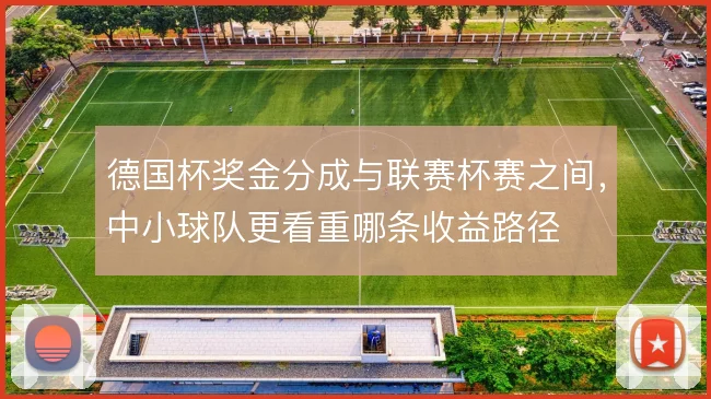 德国杯奖金分成与联赛杯赛之间，中小球队更看重哪条收益路径