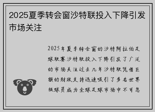 2025夏季转会窗沙特联投入下降引发市场关注 2025夏季转会窗沙特联投入下降引发市场关注